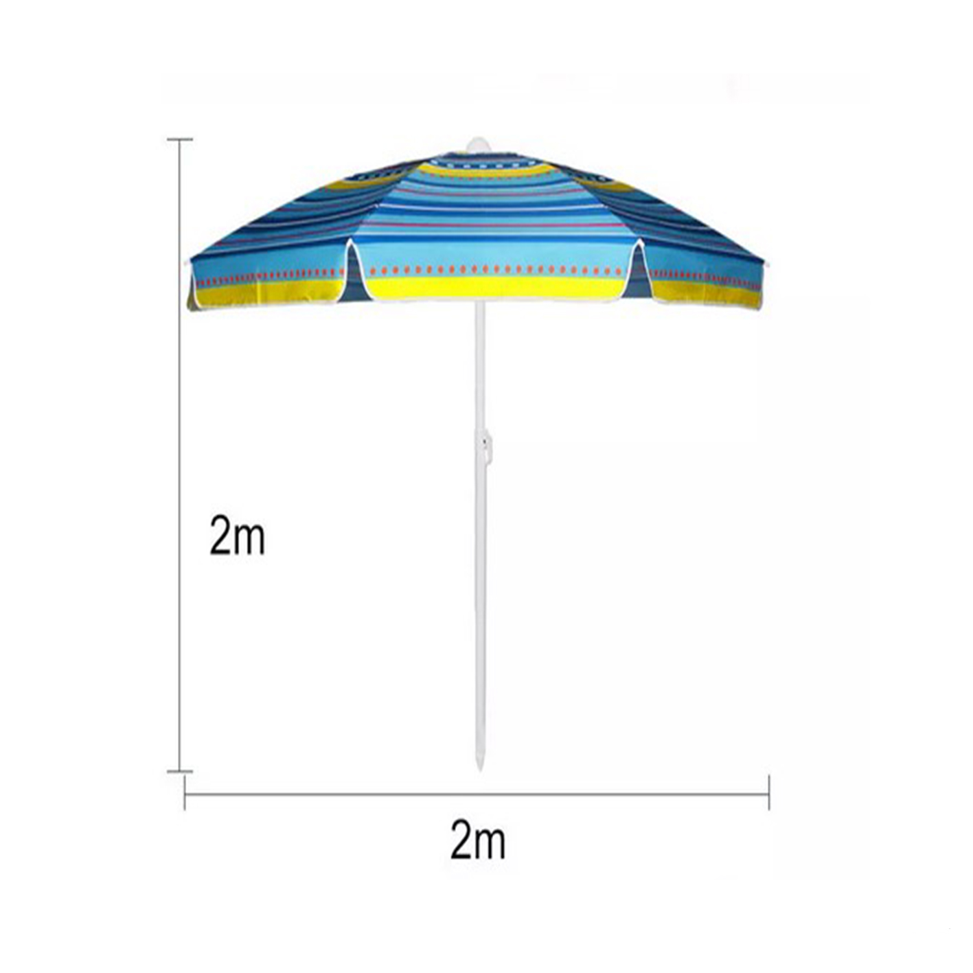 umbrella-newt-2